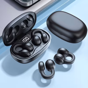 Earphones & headsets