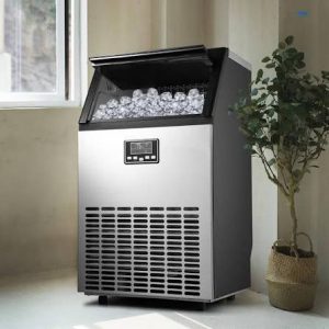 Ice maker